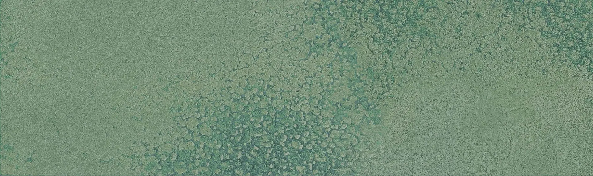 Elite Importers Elite Importers