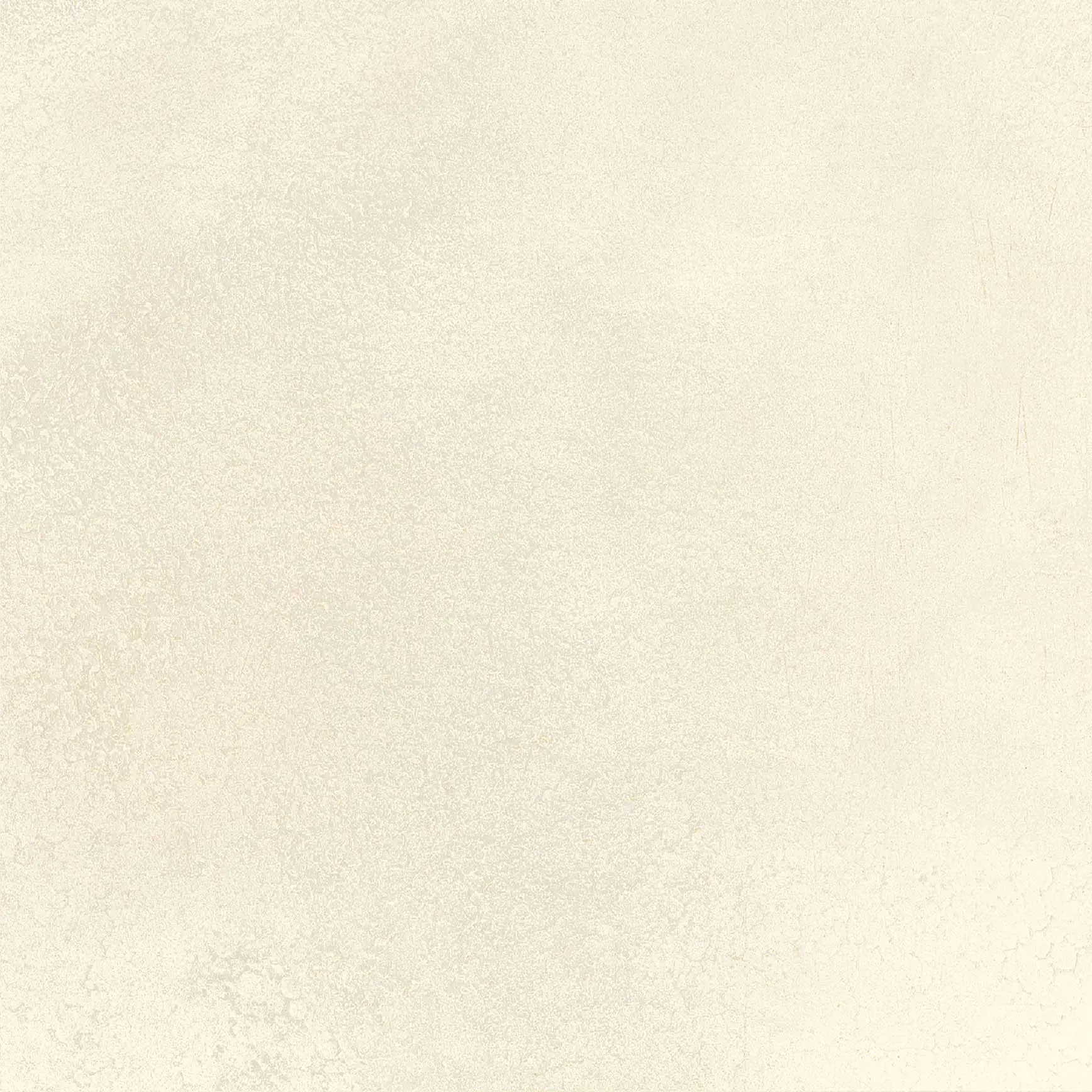 Elite Importers Elite Importers