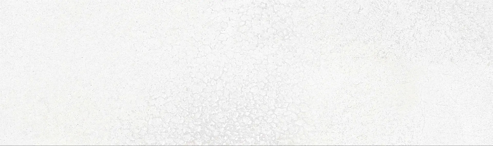 Elite Importers Elite Importers