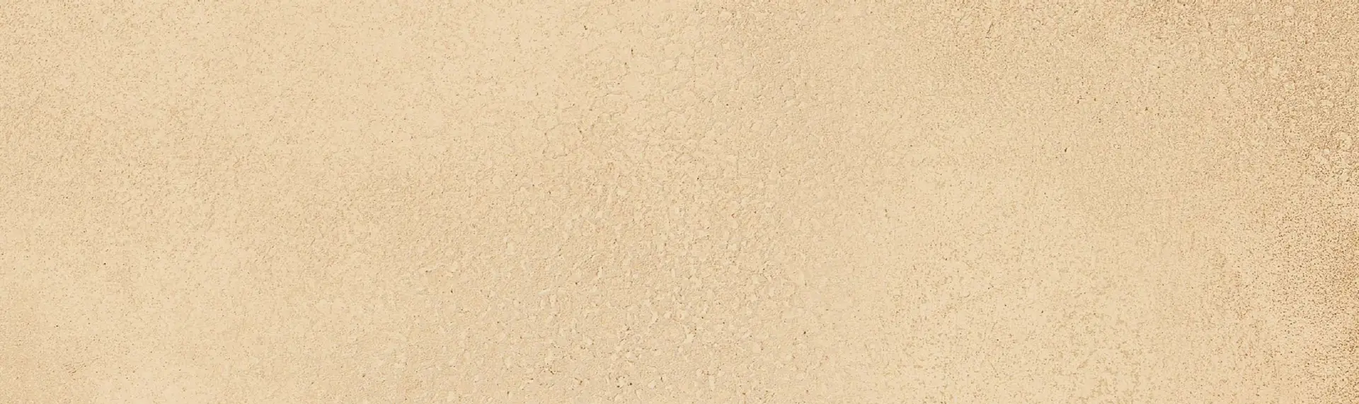 Elite Importers Elite Importers